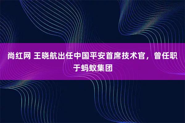 尚红网 王晓航出任中国平安首席技术官，曾任职于蚂蚁集团