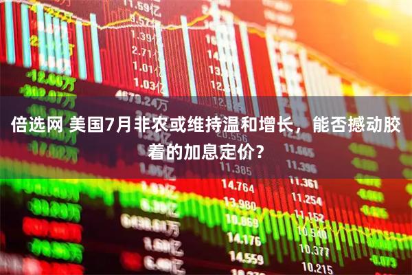 倍选网 美国7月非农或维持温和增长，能否撼动胶着的加息定价？