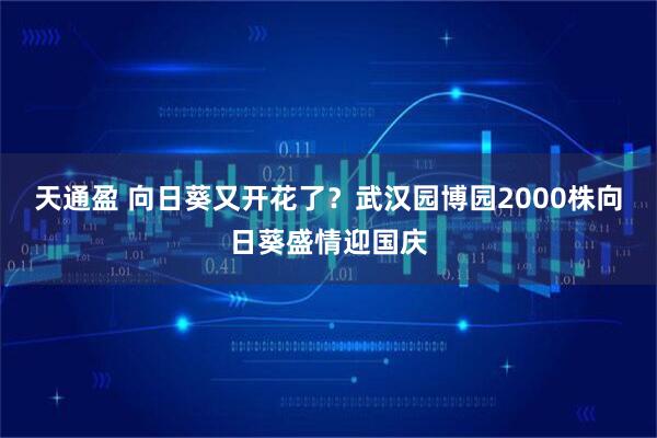 天通盈 向日葵又开花了？武汉园博园2000株向日葵盛情迎国庆
